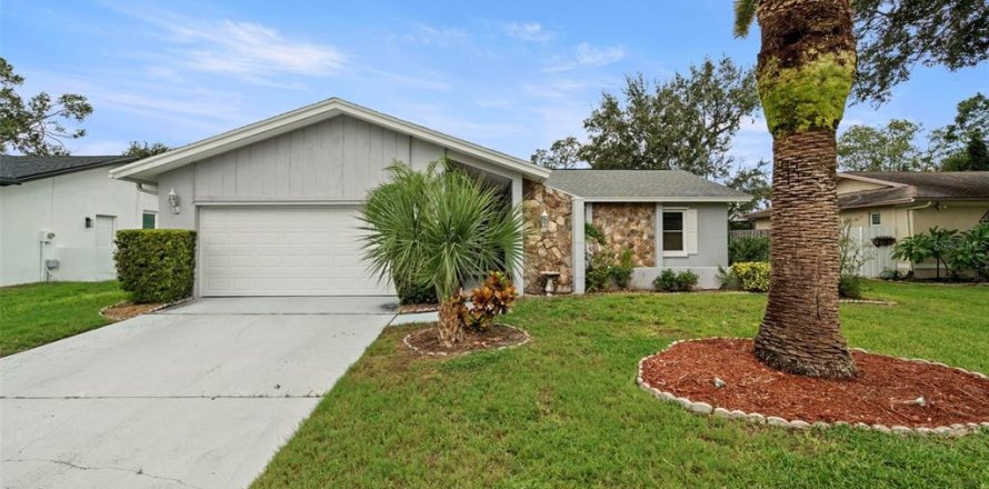 Villa ou maison à Safety Harbor, Floride 3 chambres, 148.55 m2 № 1910658