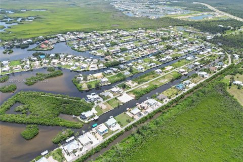 Land in Punta Gorda, Florida № 1818024 - photo 9