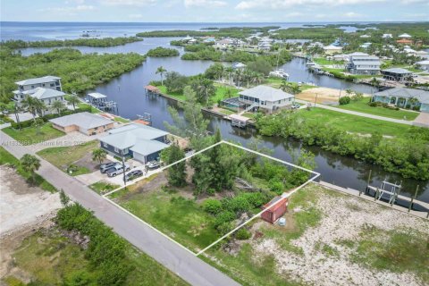 Land in Punta Gorda, Florida № 1818024 - photo 4