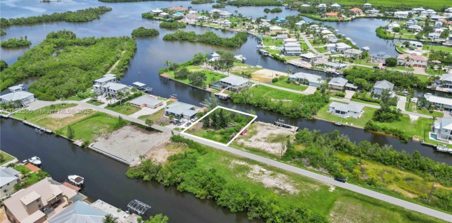 Land in Punta Gorda, Florida № 1818024