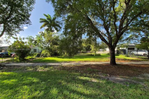 Land in Florida City, Florida № 1847762 - photo 2
