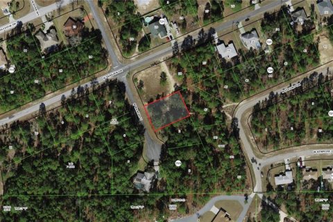 Land in Citrus Springs, Florida № 2229031