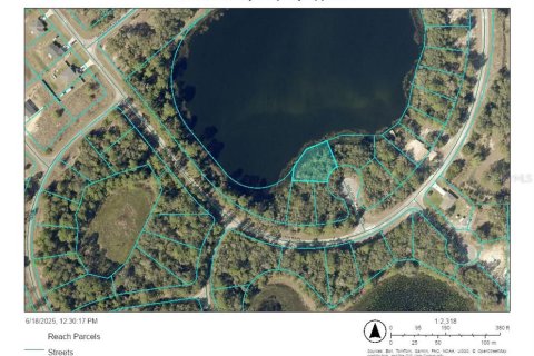 Land in Ocklawaha, Florida № 1795034 - photo 5