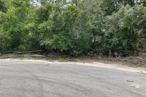 Land in Ocklawaha, Florida № 1795034 - photo 4