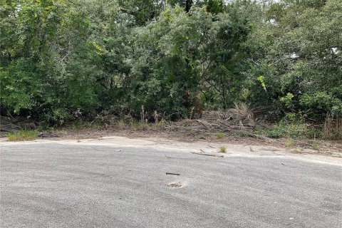 Land in Ocklawaha, Florida № 1795034 - photo 3