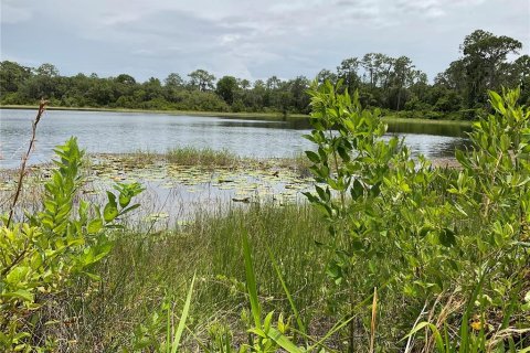 Land in Ocklawaha, Florida № 1795034 - photo 1