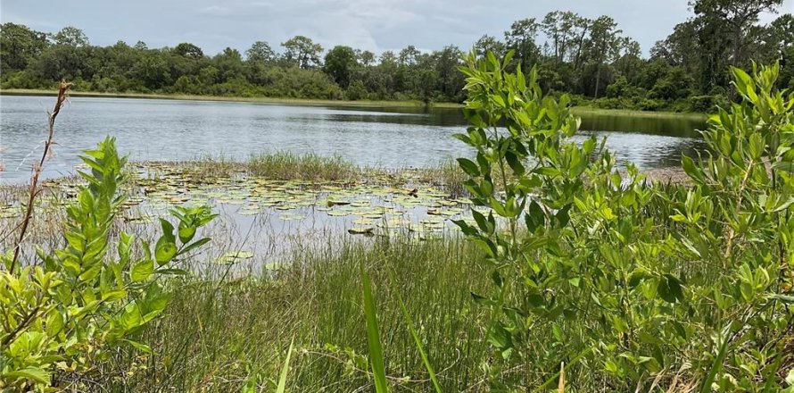 Land in Ocklawaha, Florida № 1795034