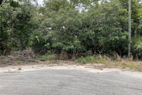 Land in Ocklawaha, Florida № 1795034 - photo 2