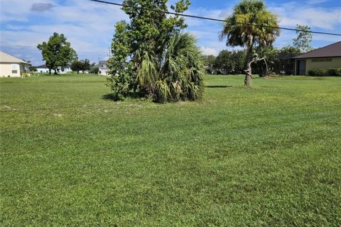 Land in Punta Gorda, Florida № 2162953