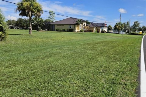 Land in Punta Gorda, Florida № 2162953 - photo 3