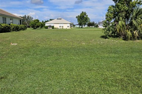 Land in Punta Gorda, Florida № 2162953 - photo 2