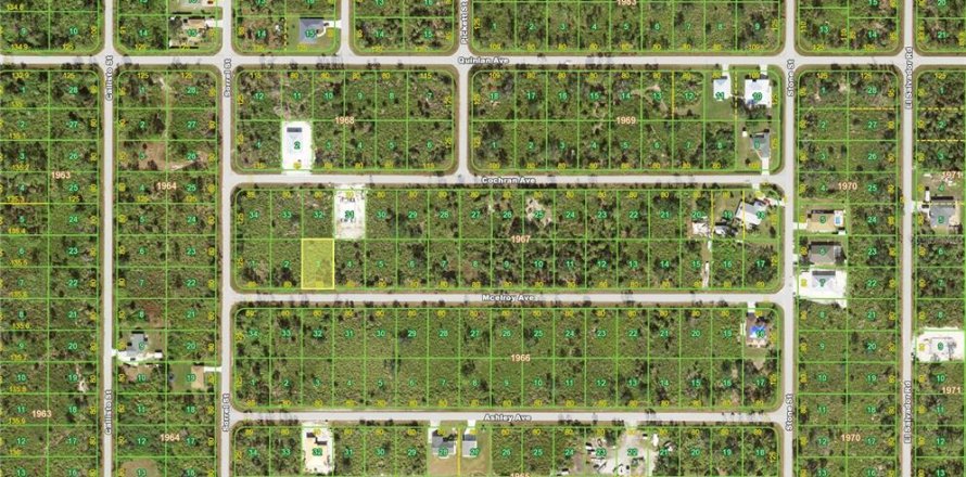 Land in Port Charlotte, Florida № 2162308