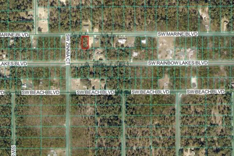 Land in Dunnellon, Florida № 2165421 - photo 3