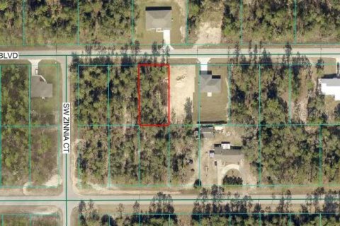 Land in Dunnellon, Florida № 2165421 - photo 2