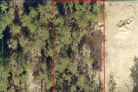 Land in Dunnellon, Florida № 2165421