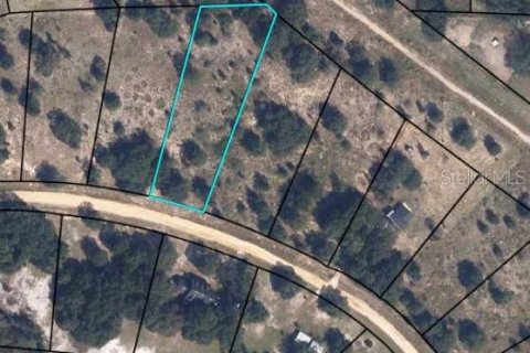 Land in Keystone Heights, Florida № 2164271 - photo 2
