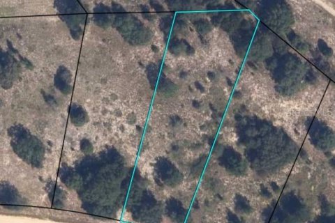 Land in Keystone Heights, Florida № 2164271