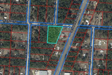 Land in Morriston, Florida № 2215931