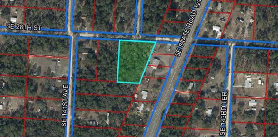 Land in Morriston, Florida № 2215931