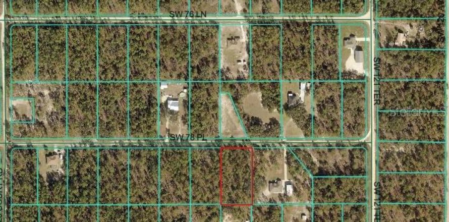 Terrain à Dunnellon, Floride № 1917152