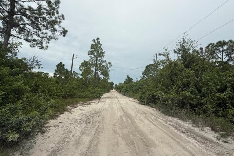 Land in Punta Gorda, Florida № 1911817 - photo 2