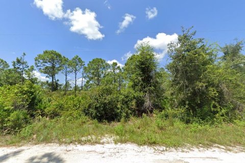 Land in Punta Gorda, Florida № 1911817 - photo 7