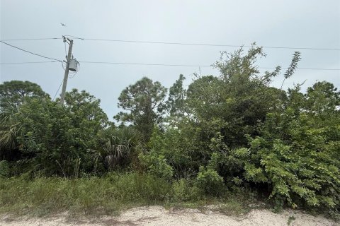 Land in Punta Gorda, Florida № 1911817 - photo 5