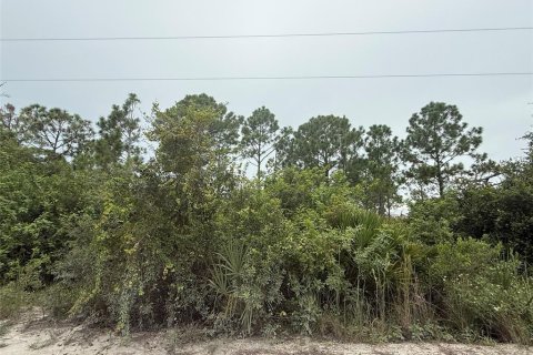 Land in Punta Gorda, Florida № 1911817 - photo 3