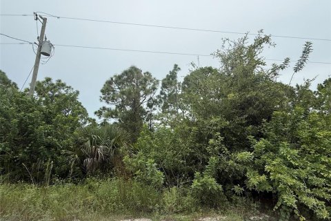 Land in Punta Gorda, Florida № 1911817 - photo 4