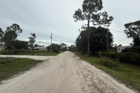 Land in Punta Gorda, Florida № 1911817 - photo 6