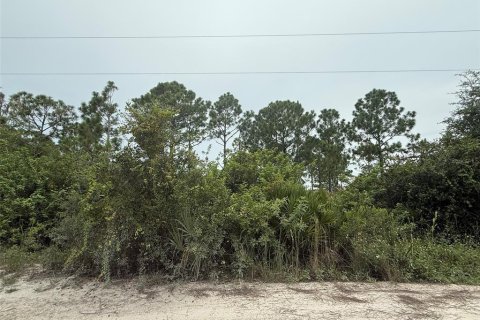 Land in Punta Gorda, Florida № 1911817 - photo 1