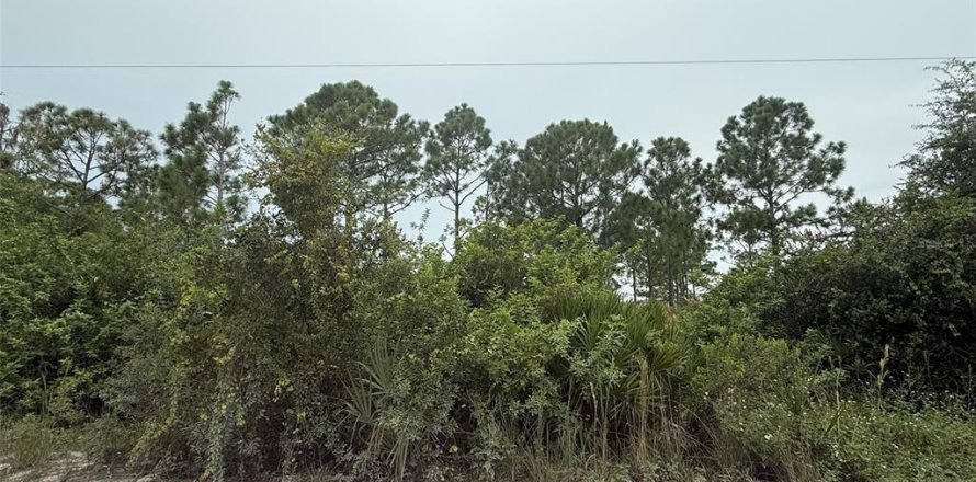 Land in Punta Gorda, Florida № 1911817