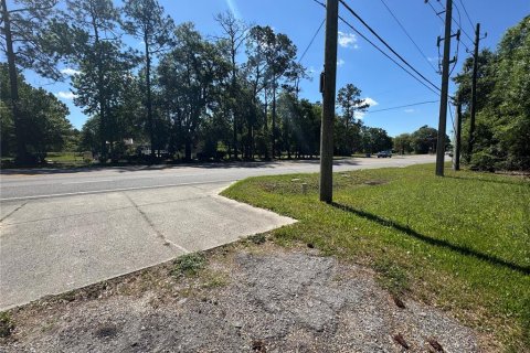 Land in Saint Augustine, Florida № 1853916 - photo 4