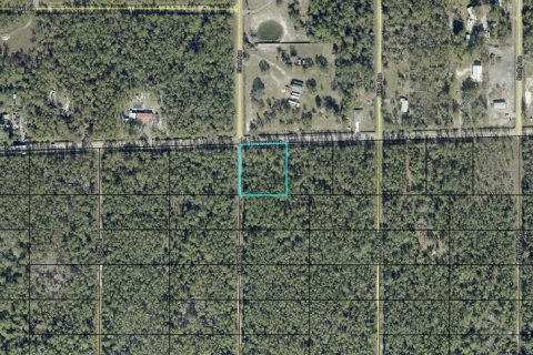 Land in Hastings, Florida № 2393473 - photo 3