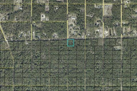 Land in Hastings, Florida № 2393473 - photo 2