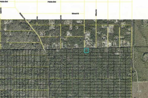 Land in Hastings, Florida № 2393473