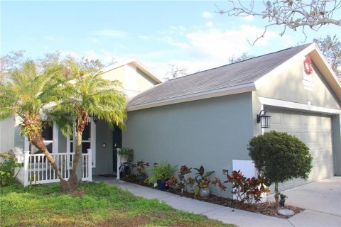 Villa ou maison à Fish Hawk, Floride 3 chambres, 120.31 m2 № 2388897