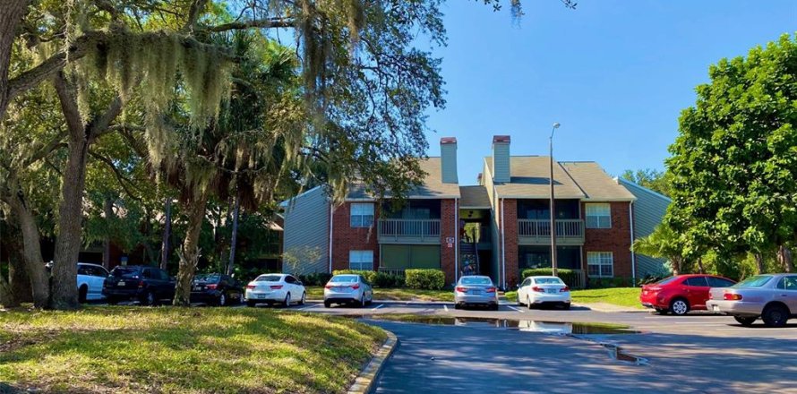 Condo à Saint Petersburg, Floride, 2 chambres № 1855656