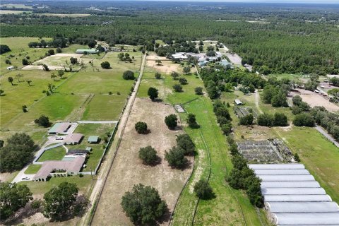 Terrain à vendre à Apopka, Floride № 1816623 - photo 5
