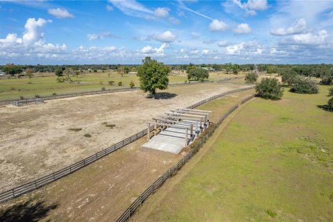 Land in Apopka, Florida № 1816623 - photo 4