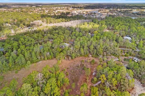 Land in Weeki Wachee, Florida № 2393393 - photo 8
