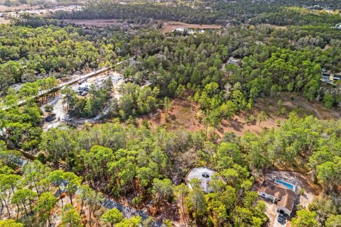 Land in Weeki Wachee, Florida № 2393393 - photo 5