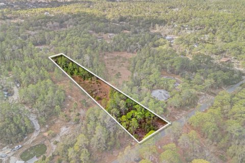 Land in Weeki Wachee, Florida № 2393393 - photo 7