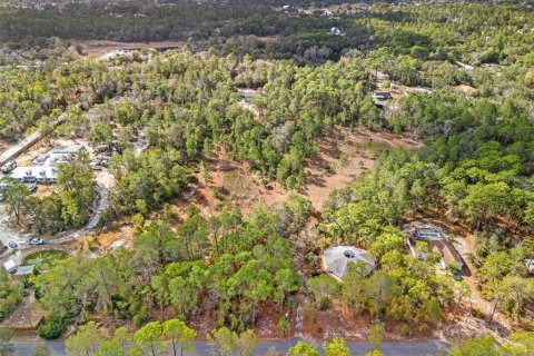 Land in Weeki Wachee, Florida № 2393393 - photo 4