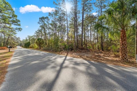 Land in Weeki Wachee, Florida № 2393393 - photo 2