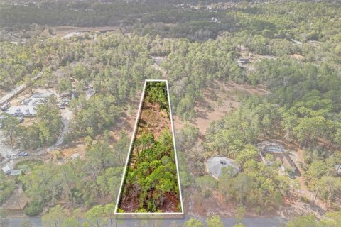 Land in Weeki Wachee, Florida № 2393393 - photo 3