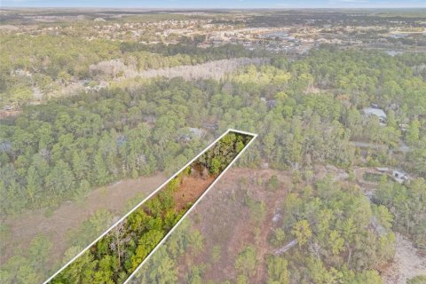 Land in Weeki Wachee, Florida № 2393393 - photo 9