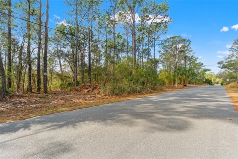 Land in Weeki Wachee, Florida № 2393393