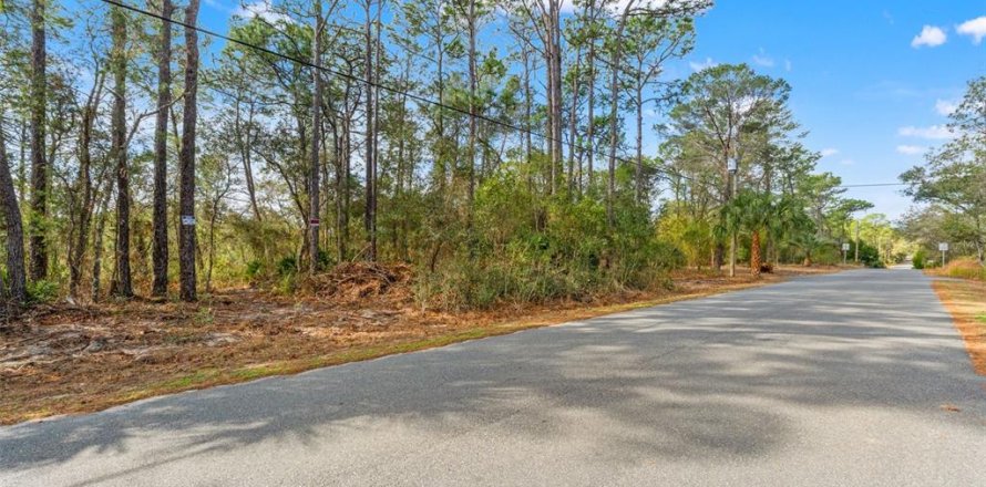 Land in Weeki Wachee, Florida № 2393393