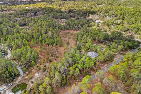 Land in Weeki Wachee, Florida № 2393393 - photo 6